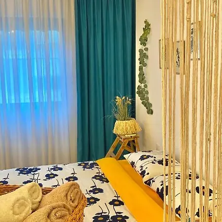 Flat In The Center * 티라나